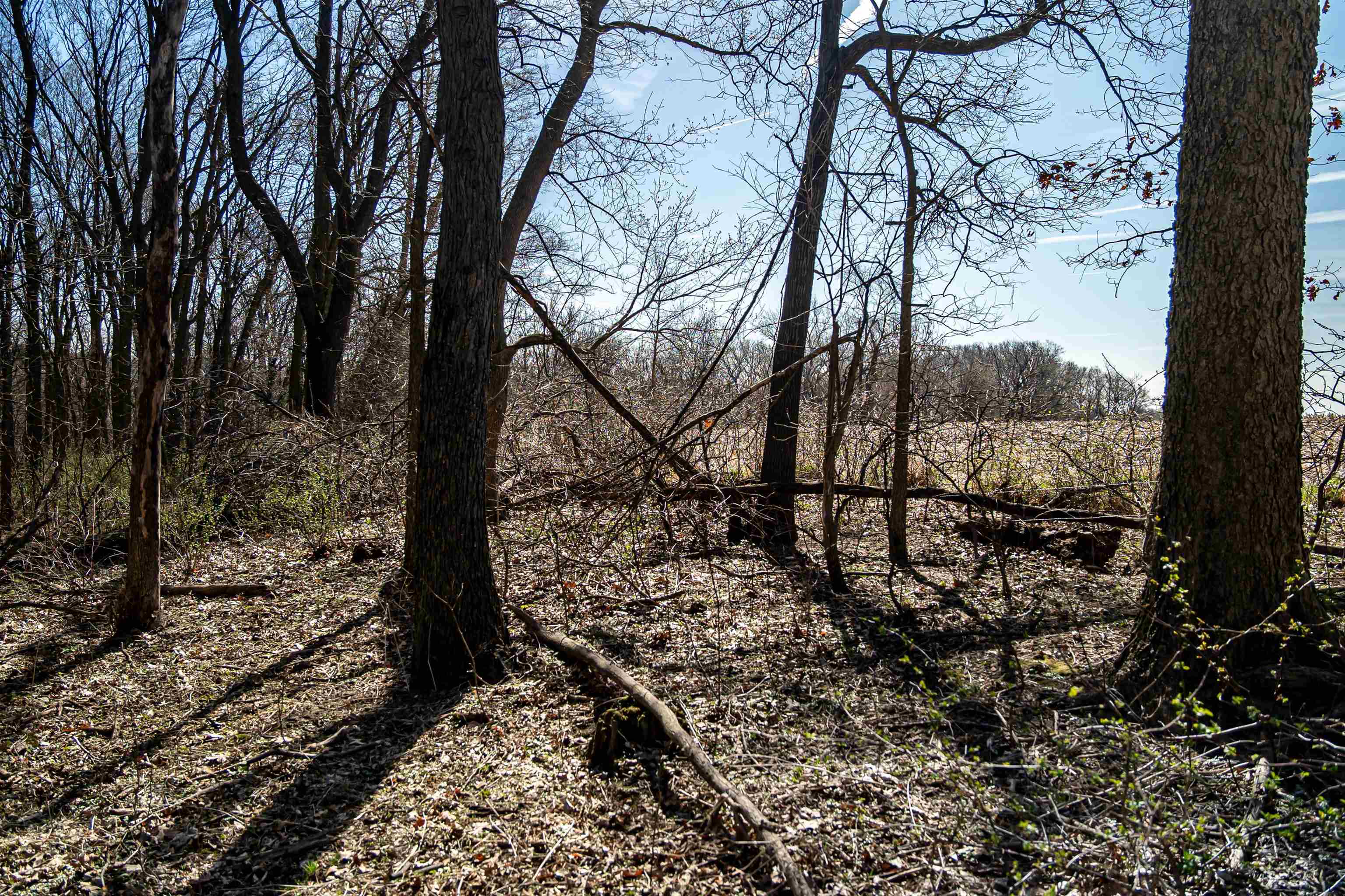 0 South Flint Road Pearl City, IL 61062 - Photo 25 of 50 Gallery Image 25