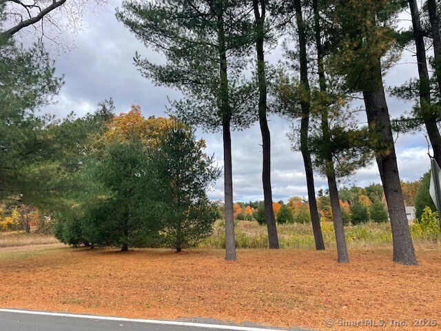 a view of tall trees with a house