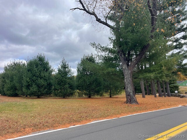 175 Stafford Road Somers, CT 06071 - Photo 5 of 6 a view of a yard with a tree