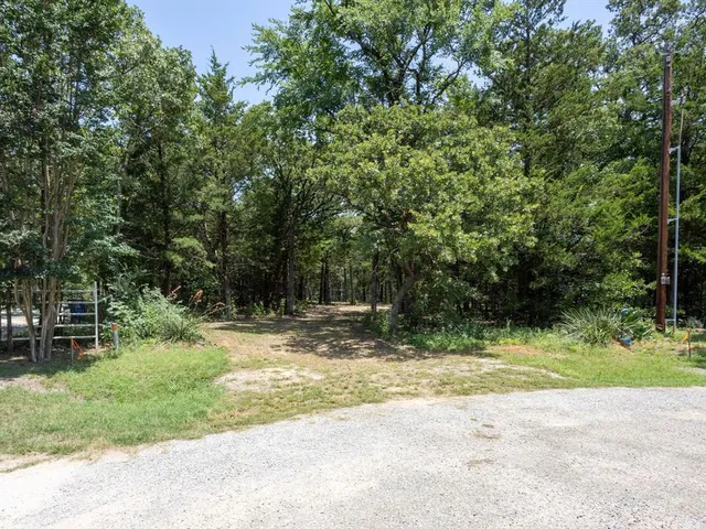 a view of outdoor space with trees all around