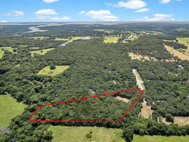 a view of a yard with plants and trees