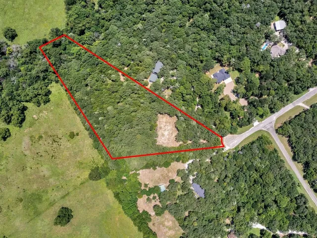 a view of a tree with a yard