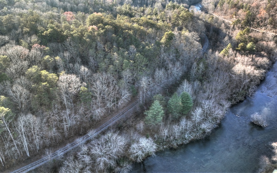 51-ac Spiller Road Blue Ridge, GA 30513 - Photo 13 of 23 a view of a forest with a tree