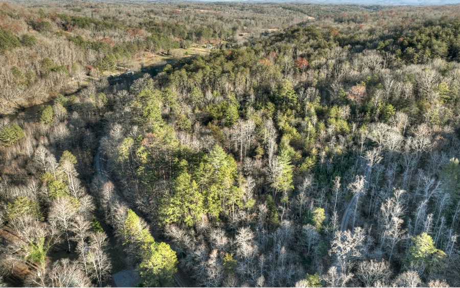 51-ac Spiller Road Blue Ridge, GA 30513 - Photo 17 of 23 a view of a city with lush green forest