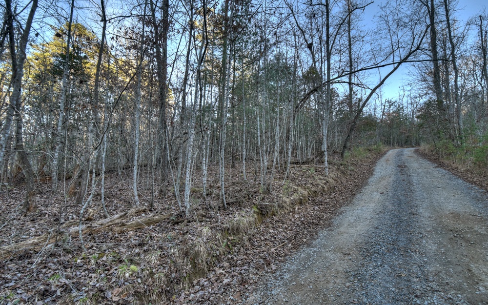 51-ac Spiller Road Blue Ridge, GA 30513 - Photo 18 of 23 a backyard of a house with lots of green space
