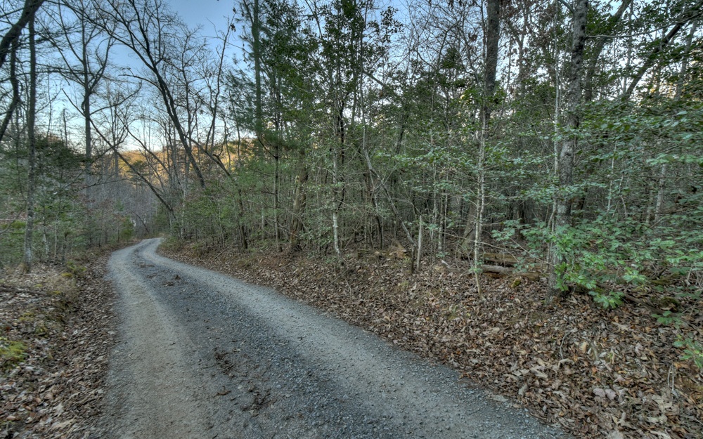 51-ac Spiller Road Blue Ridge, GA 30513 - Photo 19 of 23 a view of a forest with trees in the background