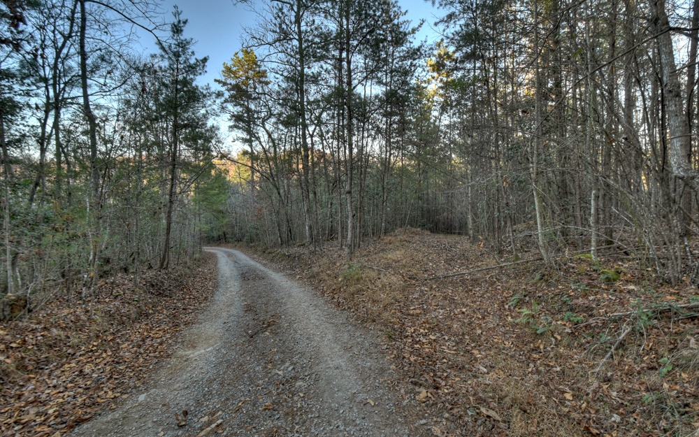 51-ac Spiller Road Blue Ridge, GA 30513 - Photo 21 of 23 a view of a forest with trees in the background