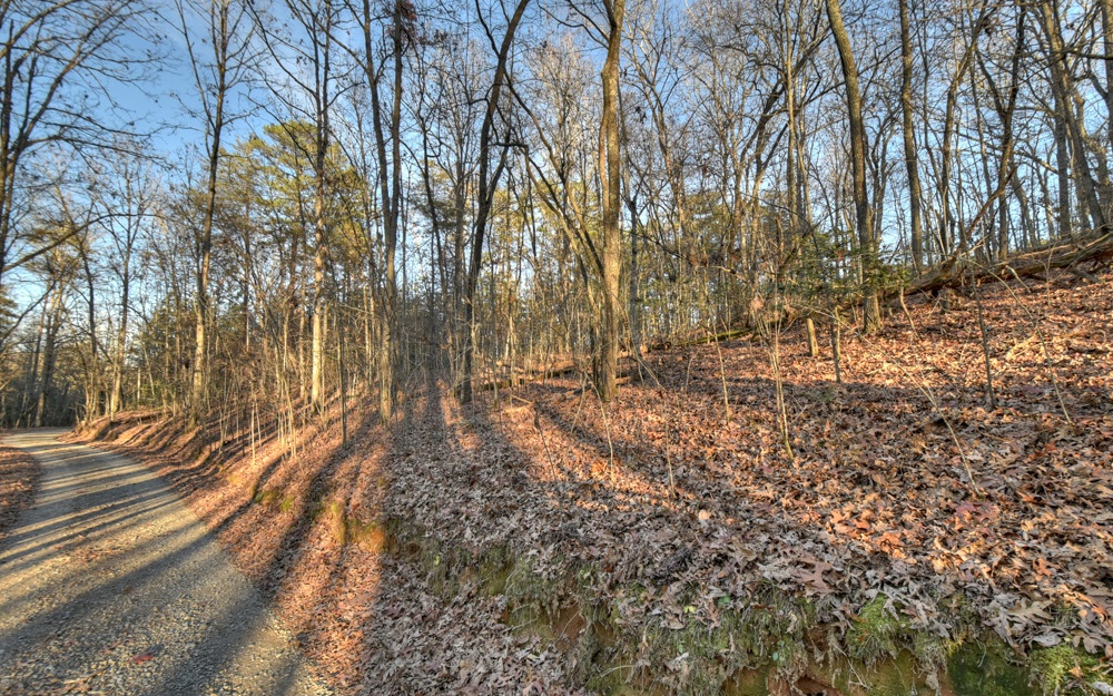 51-ac Spiller Road Blue Ridge, GA 30513 - Photo 22 of 23 a view of yard with trees