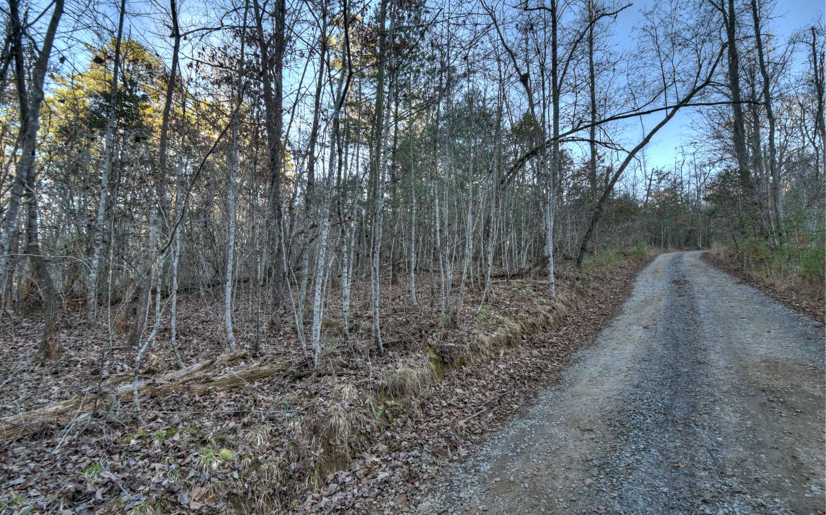 51-ac Spiller Road Blue Ridge, GA 30513 - Photo 23 of 23 a view of a forest with trees in the background
