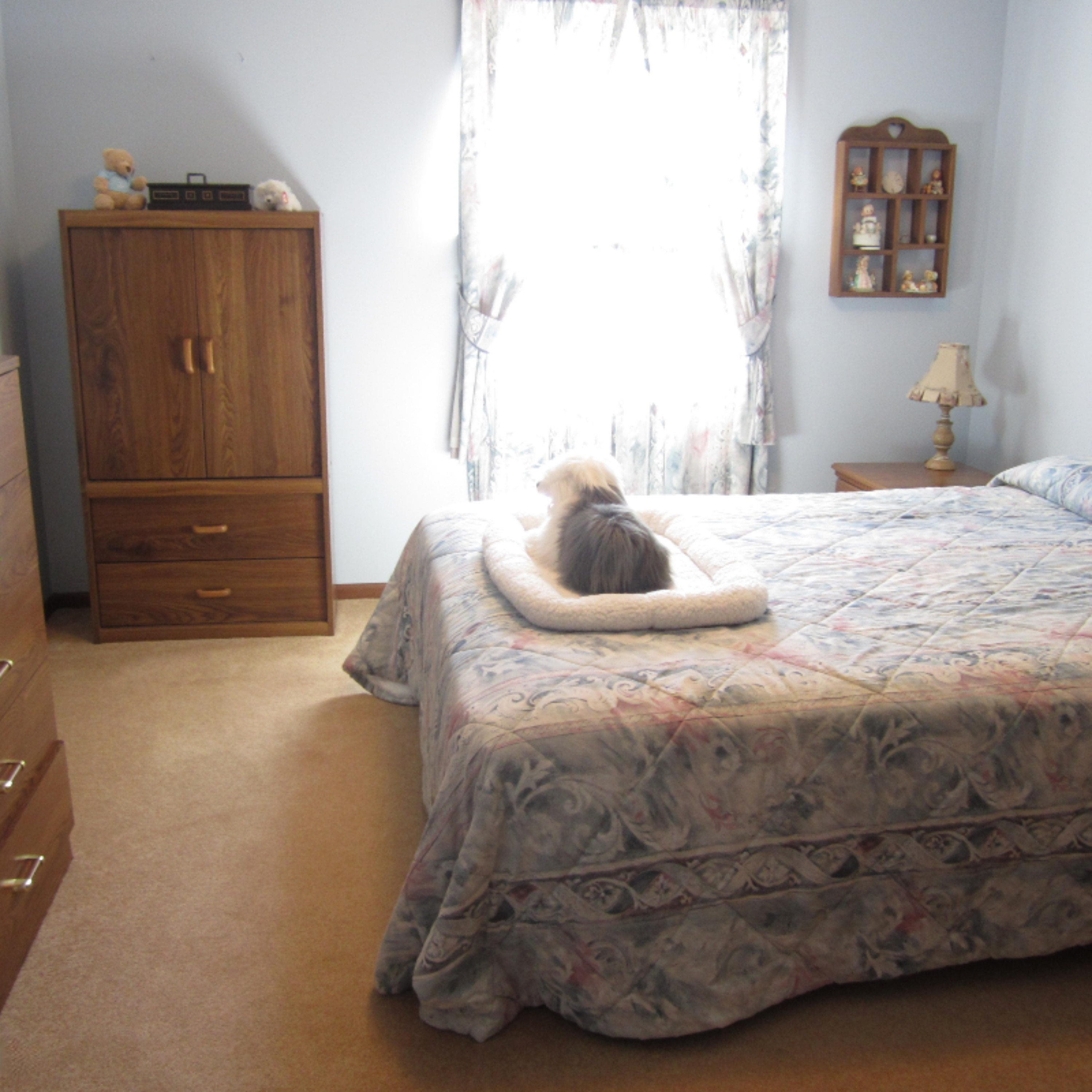 1842 Vining Road Greenville, MI 48838 - Photo 31 of 68 IMG_5320