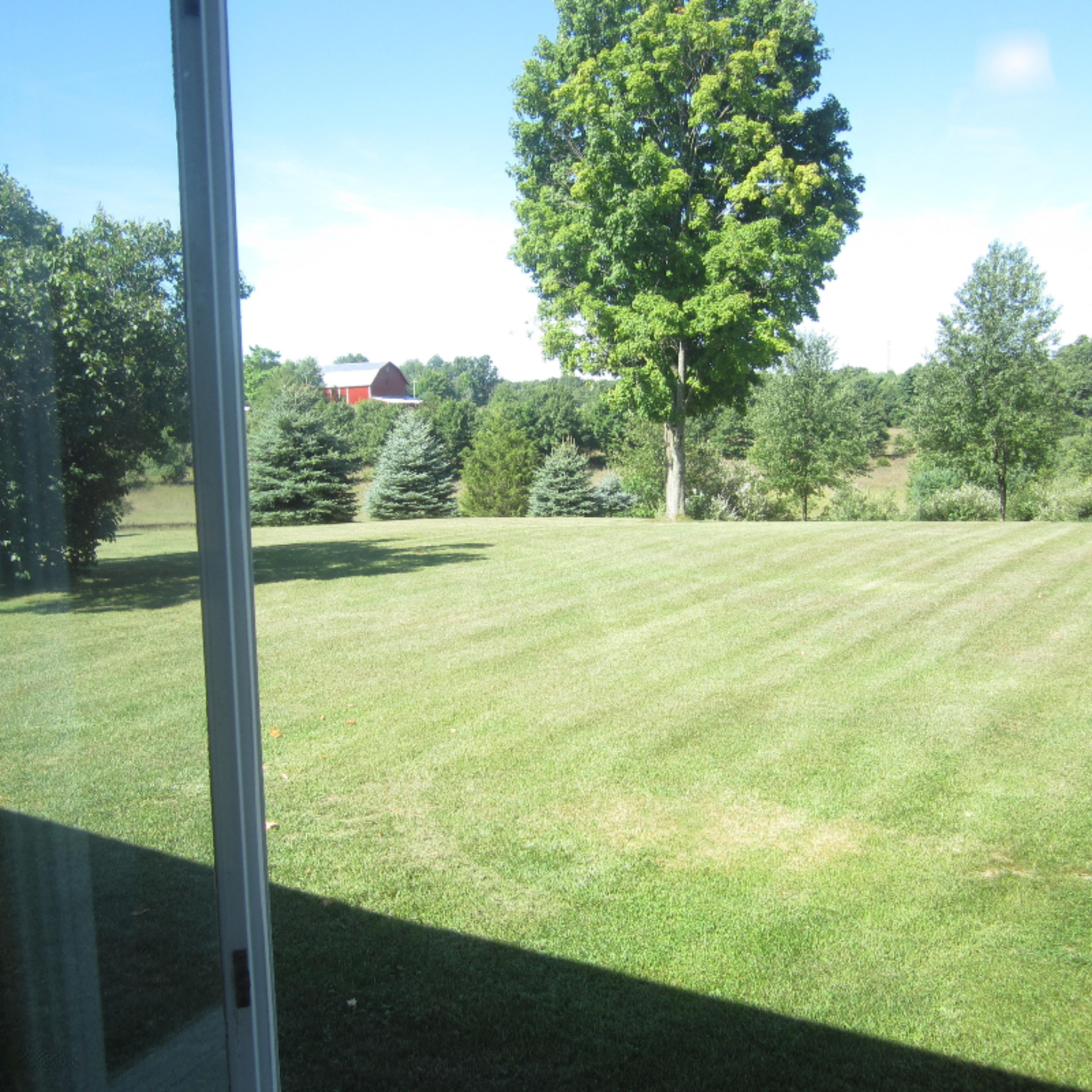 1842 Vining Road Greenville, MI 48838 - Photo 44 of 68 IMG_5338