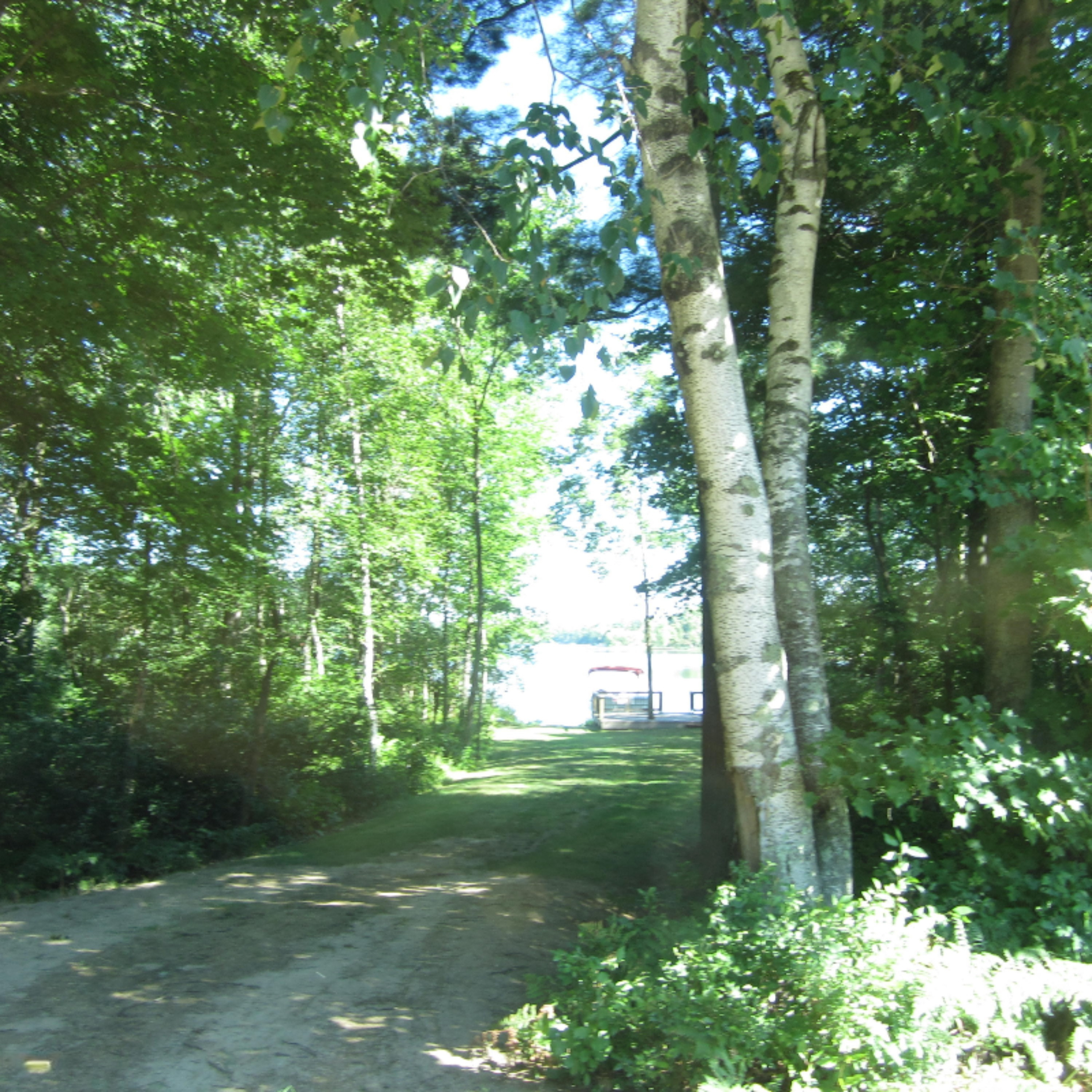 1842 Vining Road Greenville, MI 48838 - Photo 52 of 68 IMG_5281