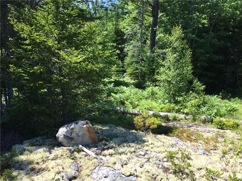 65 Lookout Mountain Road East Machias, ME 04630 - Photo 11 of 43 Photo