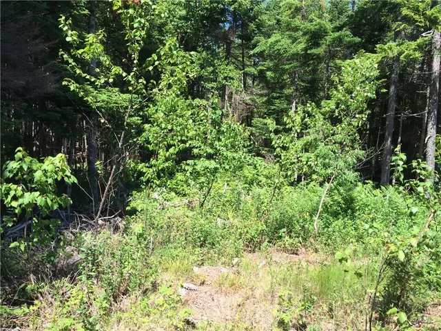 $84,000 | 65 Lookout Mountain Road, East Machias, ME 04630