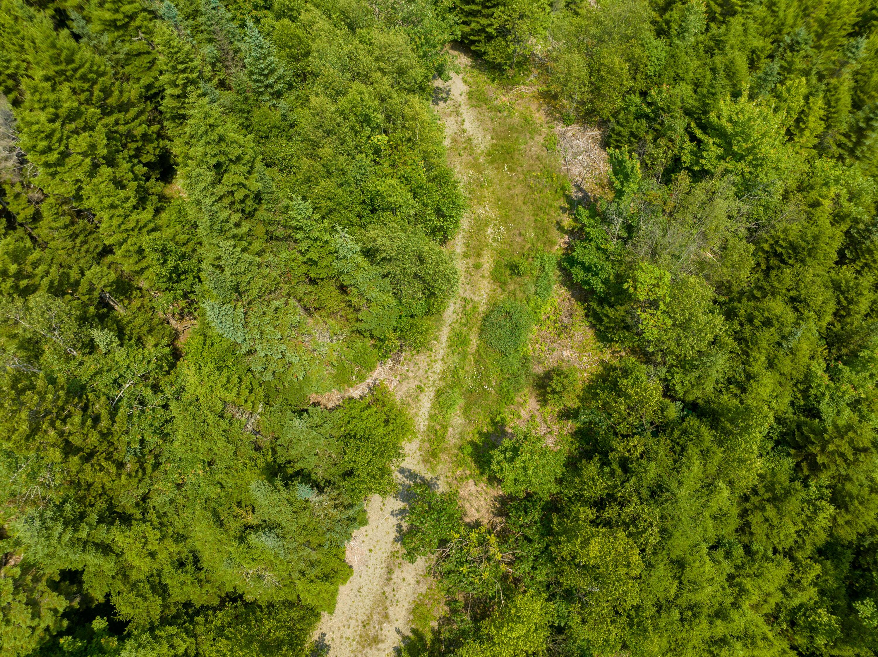 65 Lookout Mountain Road East Machias, ME 04630 - Photo 16 of 43 0 Main (route 1) Street, East Machias, M