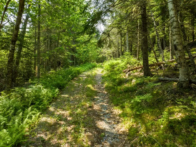 $84,000 | 65 Lookout Mountain Road, East Machias, ME 04630