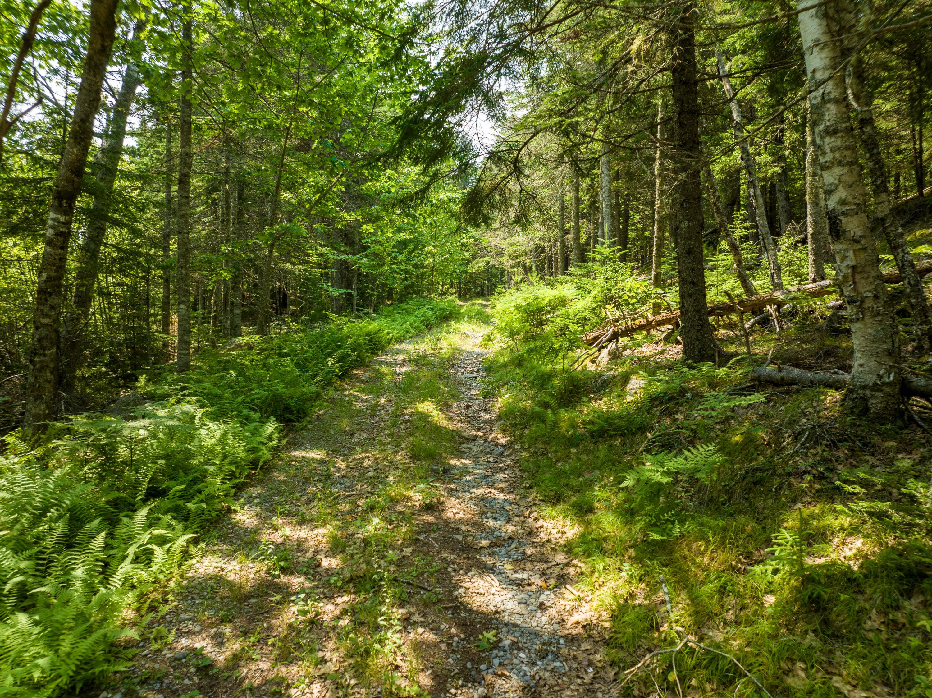 65 Lookout Mountain Road East Machias, ME 04630 - Photo 17 of 43 0 Main (route 1) Street, East Machias, M