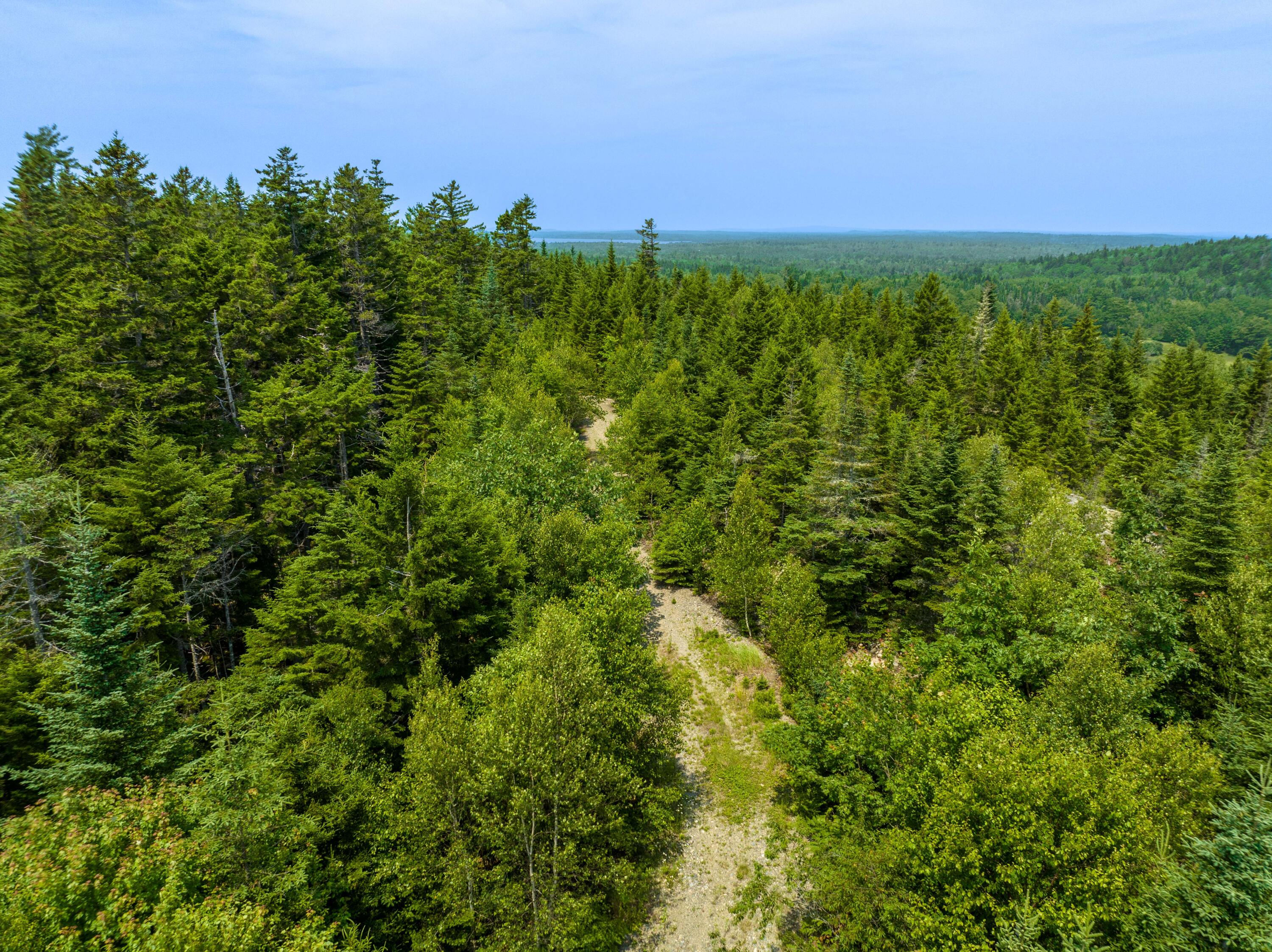 65 Lookout Mountain Road East Machias, ME 04630 - Photo 21 of 43 0 Main (route 1) Street, East Machias, M