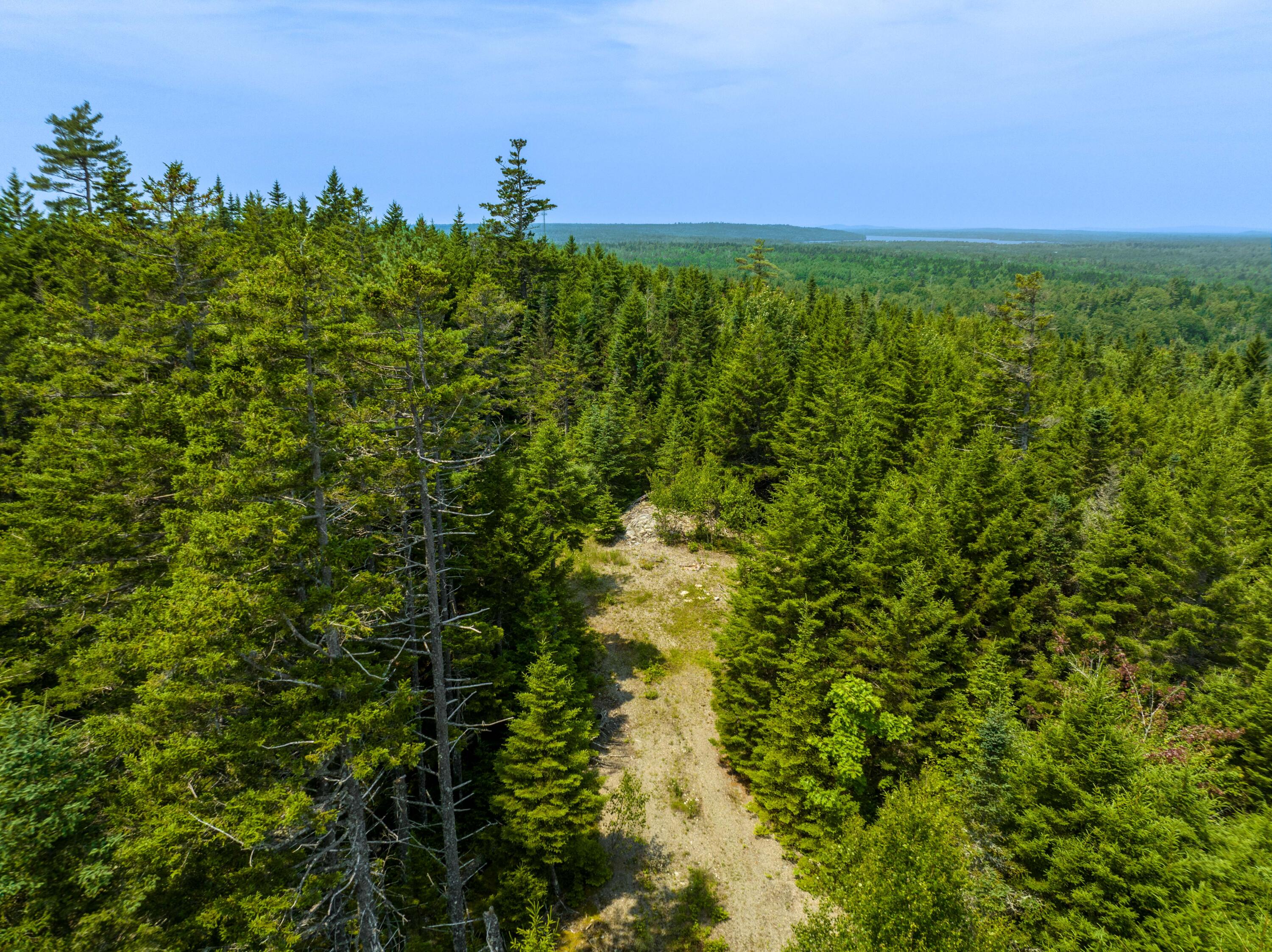 65 Lookout Mountain Road East Machias, ME 04630 - Photo 22 of 43 0 Main (route 1) Street, East Machias, M