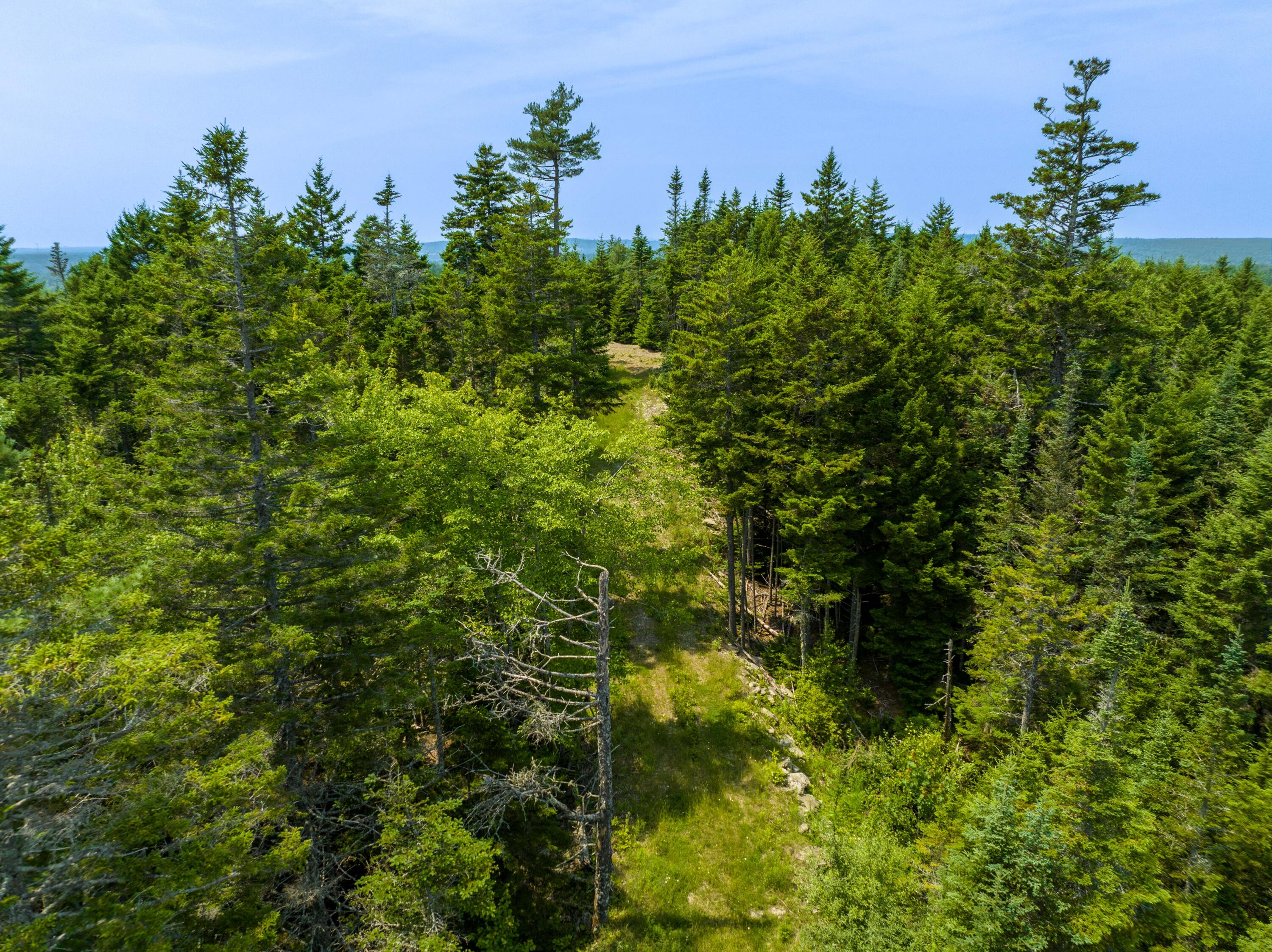 65 Lookout Mountain Road East Machias, ME 04630 - Photo 23 of 43 0 Main (route 1) Street, East Machias, M