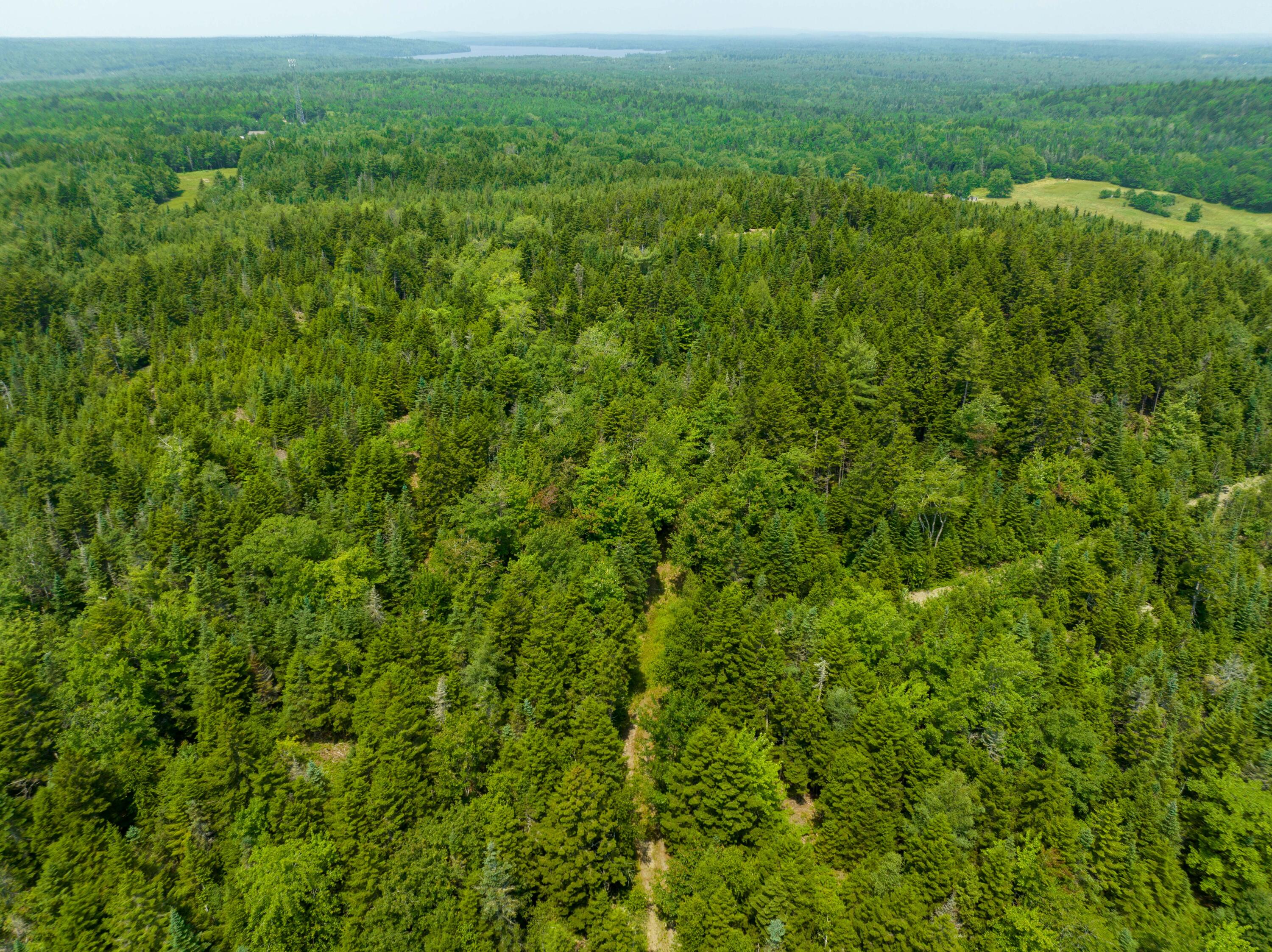 65 Lookout Mountain Road East Machias, ME 04630 - Photo 25 of 43 0 Main (route 1) Street, East Machias, M