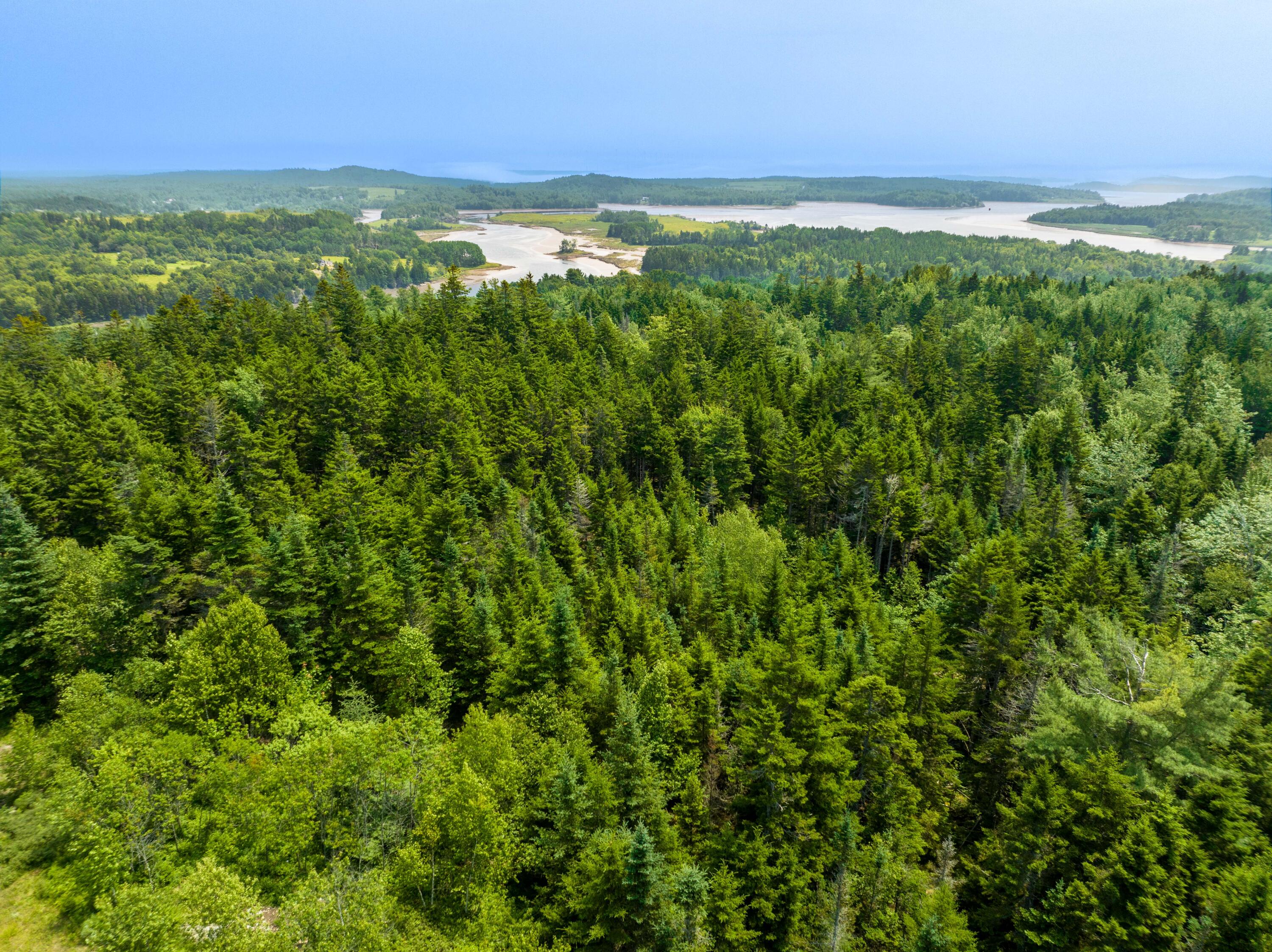 65 Lookout Mountain Road East Machias, ME 04630 - Photo 42 of 43 0 Main (route 1) Street, East Machias, M