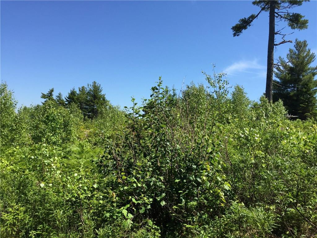 65 Lookout Mountain Road East Machias, ME 04630 - Photo 6 of 43 Photo