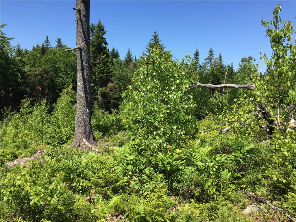 65 Lookout Mountain Road East Machias, ME 04630 - Photo 8 of 43 Photo