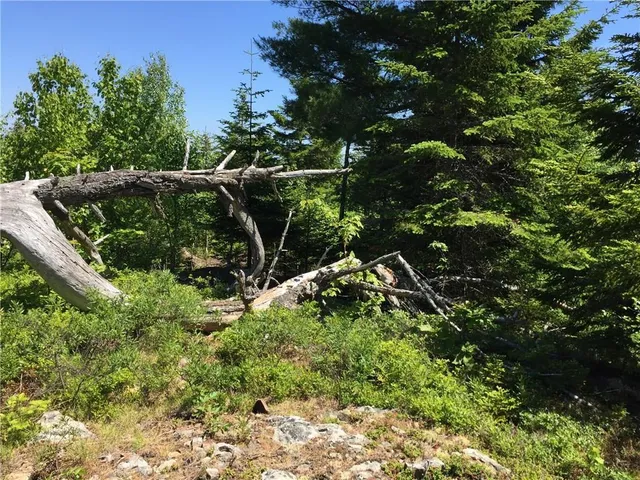 $84,000 | 65 Lookout Mountain Road, East Machias, ME 04630