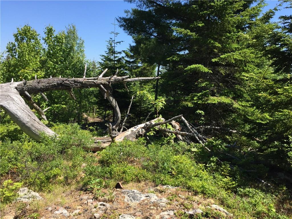 65 Lookout Mountain Road East Machias, ME 04630 - Photo 9 of 43 Photo