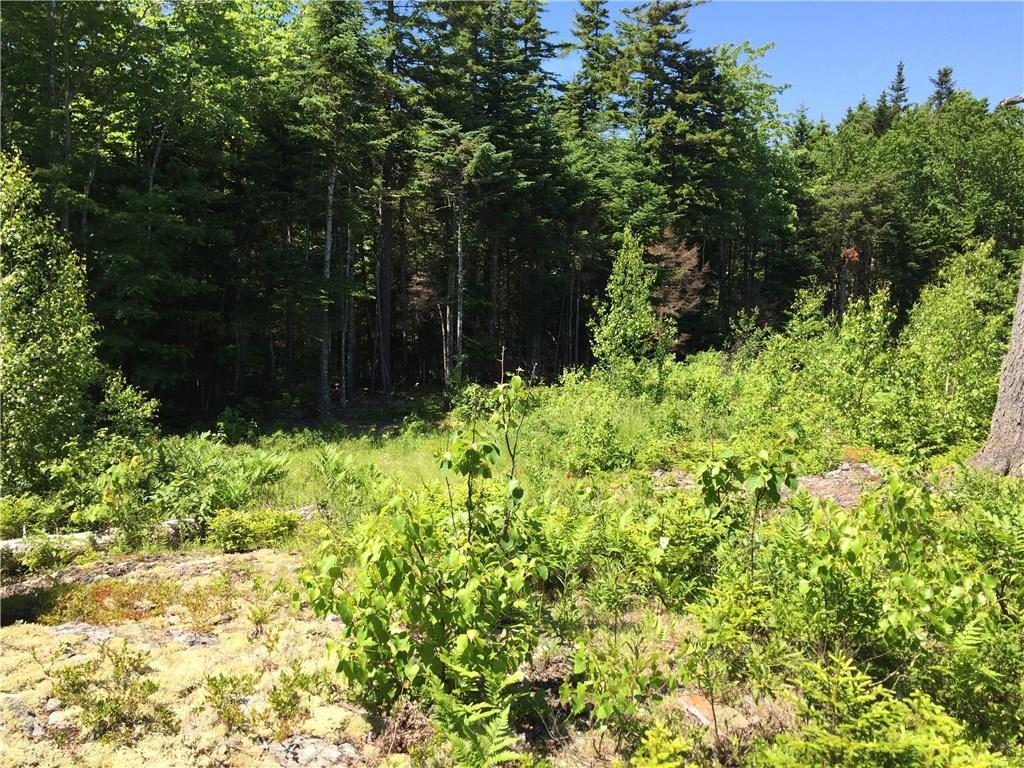 65 Lookout Mountain Road East Machias, ME 04630 - Photo 10 of 43 Photo