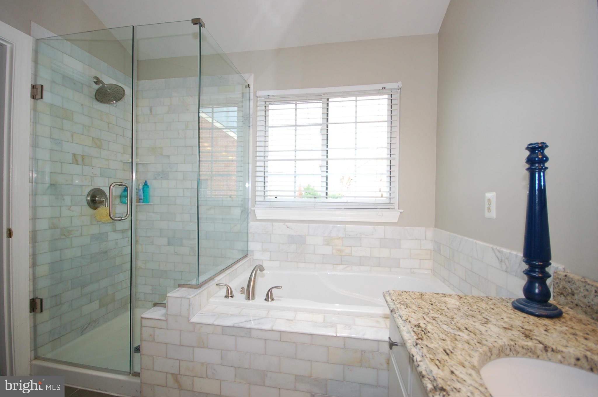 2103 Chippewa Place Silver Spring, MD 20906 - Photo 15 of 30 Bath (Master)