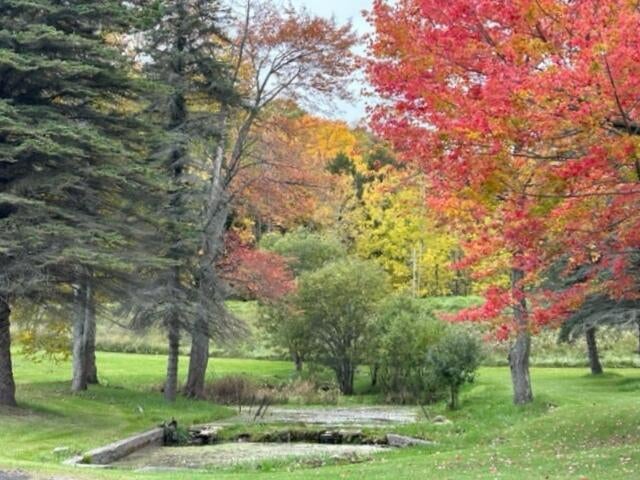 5145 La Fave Road Black River, MI 48721 - Photo 9 of 48 Gallery Image 9