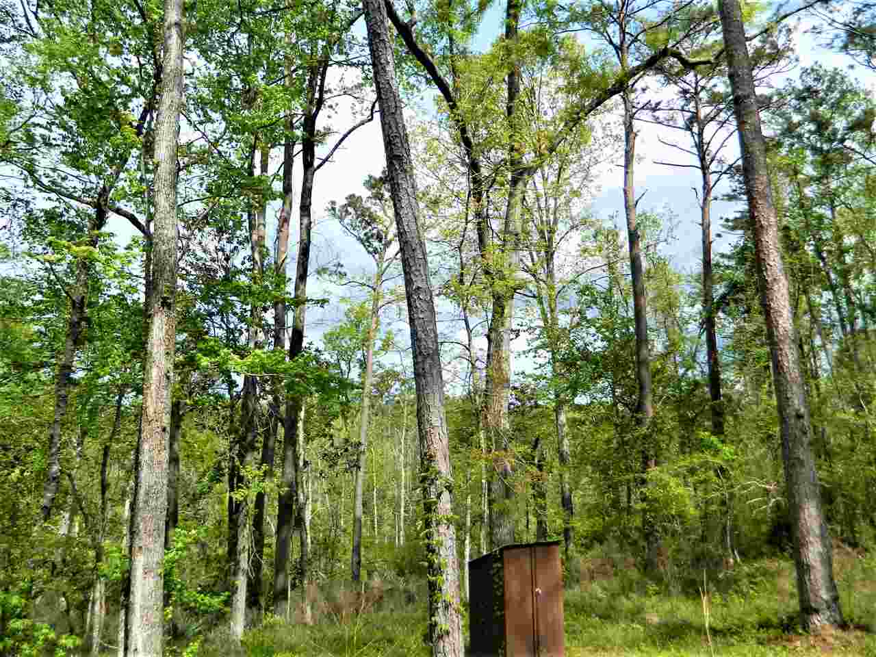 776 Middle Creek Road Quincy, FL 32351 - Photo 3 of 35 Gallery Image 3