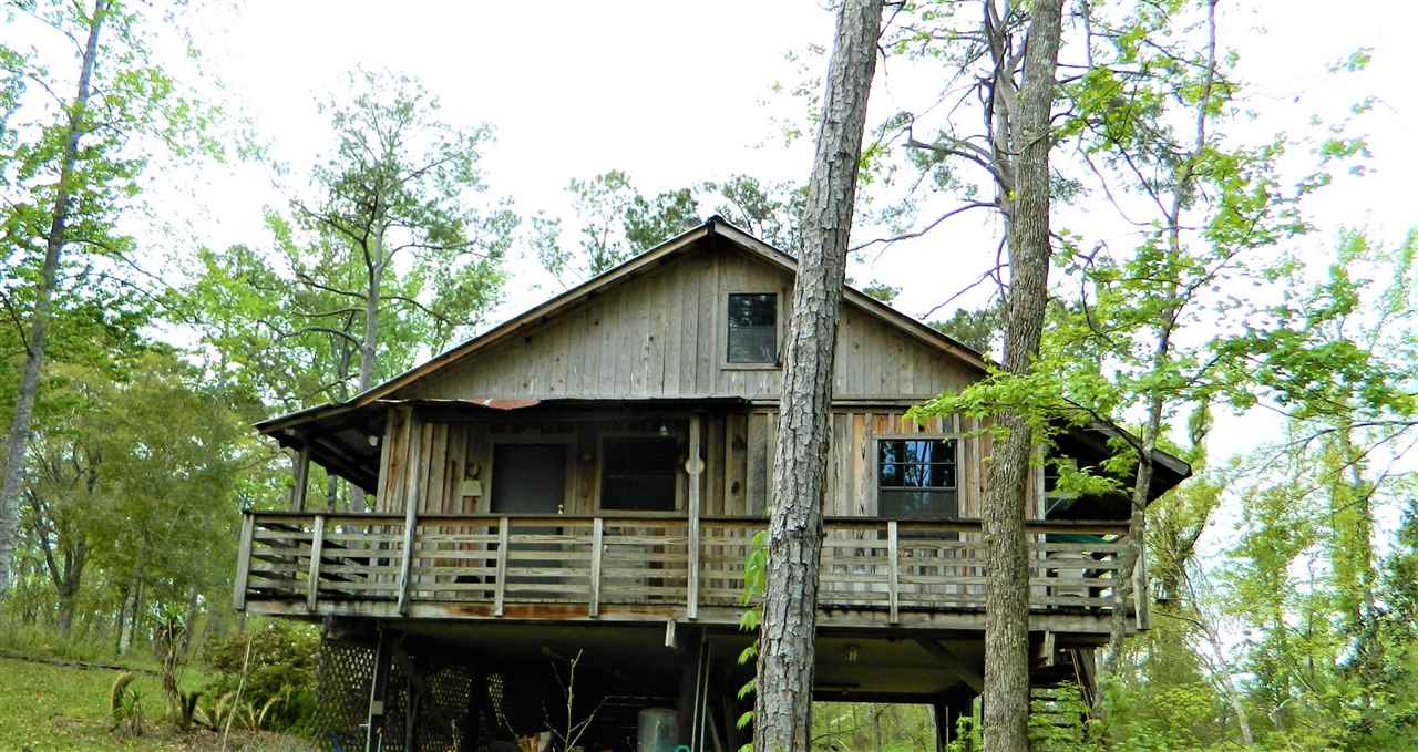 776 Middle Creek Road Quincy, FL 32351 - Photo 7 of 35 Gallery Image 7