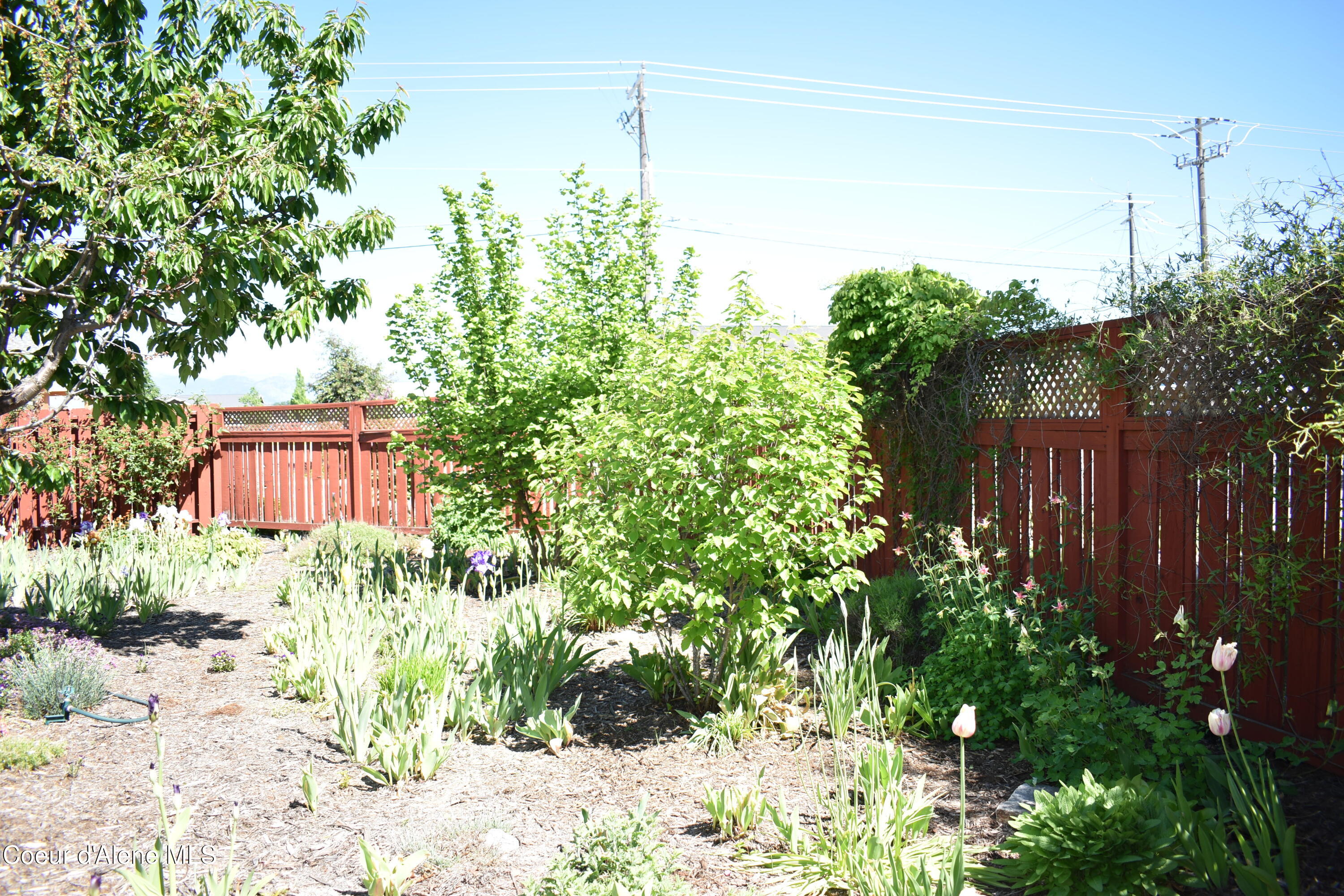 Walnut Street Sandpoint, ID 83864 - Photo 10 of 14 DSC_0058