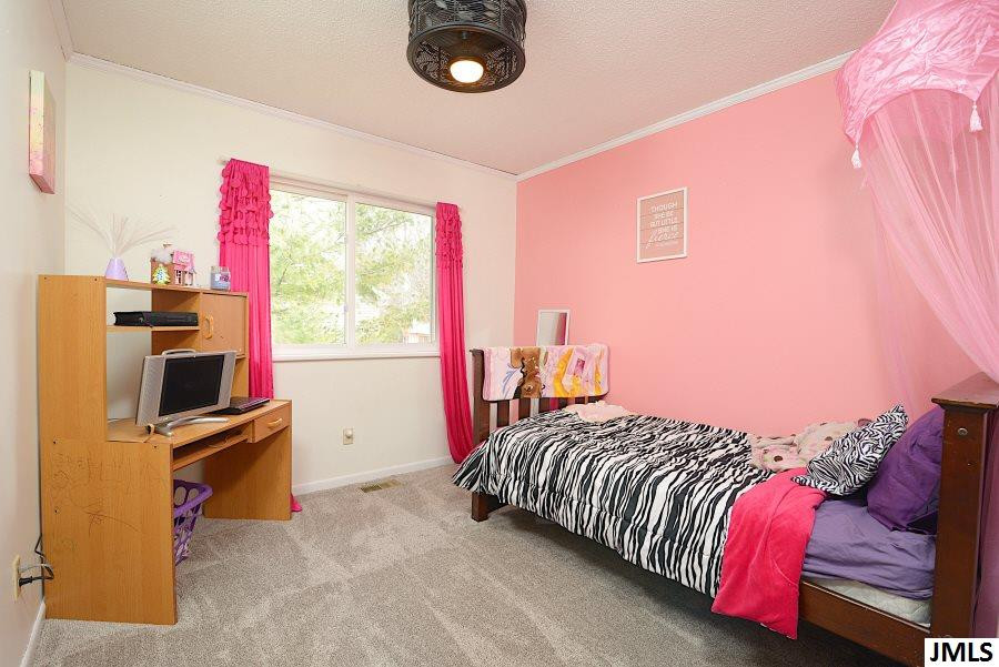 12907 Kelley Road Brooklyn, MI 49230 - Photo 10 of 19 Photo 10