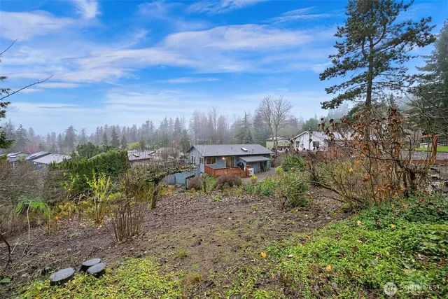 a view of a garden with a tree in the background