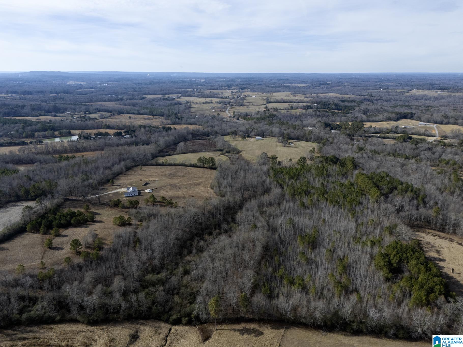 941 Hamm Road Blountsville, AL 35031 - Photo 58 of 67