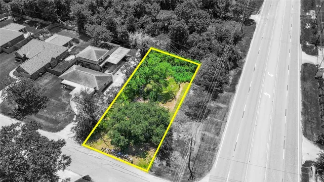 view of a yard with potted plants