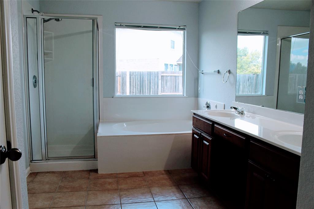 4428 Bent Path Round Rock, TX 78665 - Photo 13 of 17 a bathroom with a sink and a bathtub