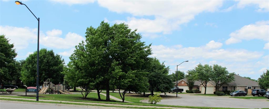 4428 Bent Path Round Rock, TX 78665 - Photo 2 of 17 a view of a city view