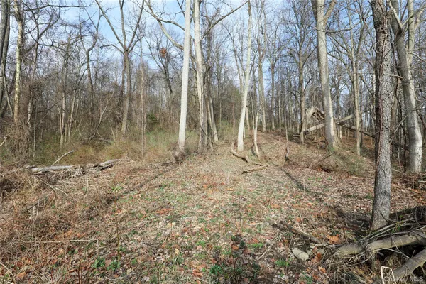 a view of a yard with large trees