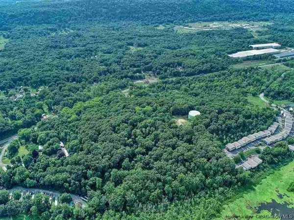a view of a green yard with large trees