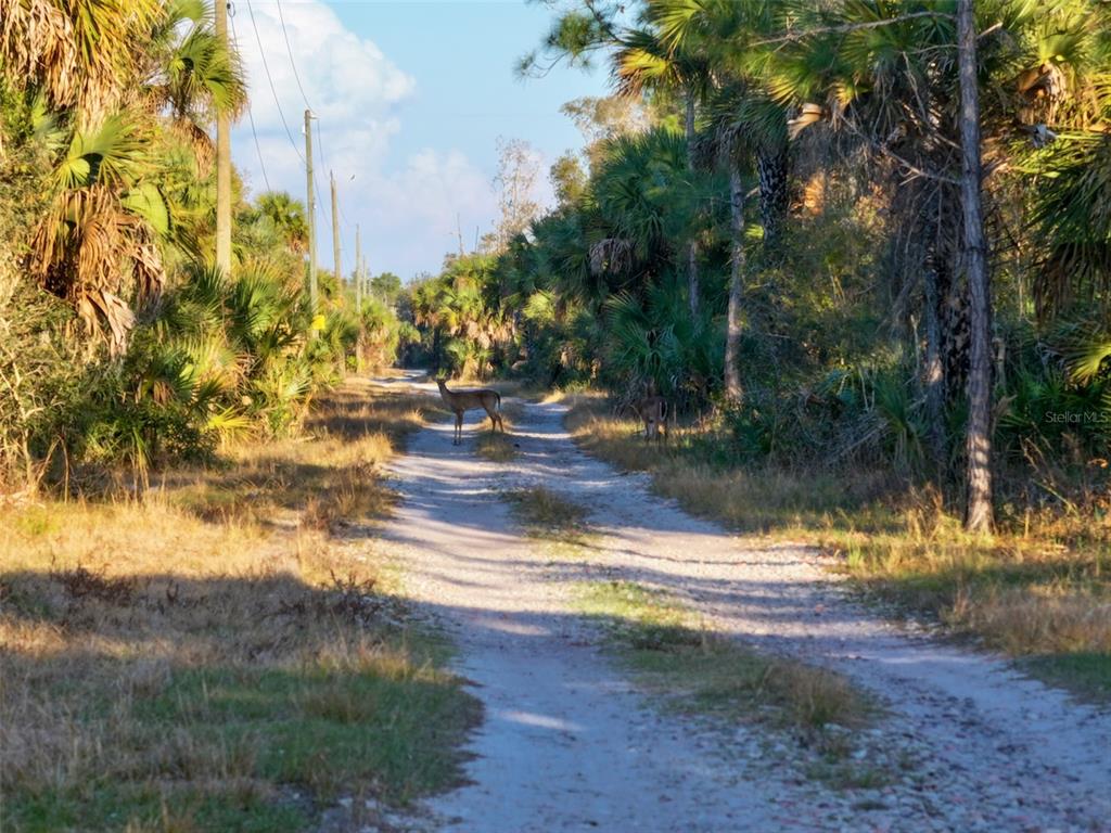 Black Burn Road Naples, FL 34117 - Photo 37 of 39 Gallery Image 37