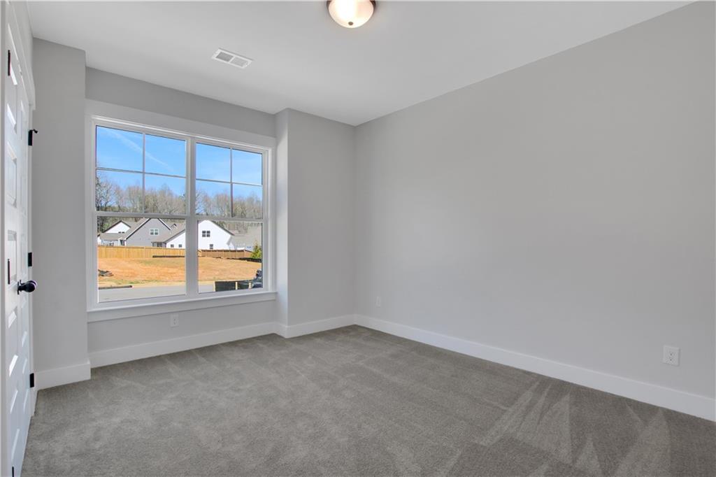 329 Conifer Lane Ball Ground, GA 30107 - Photo 29 of 56
