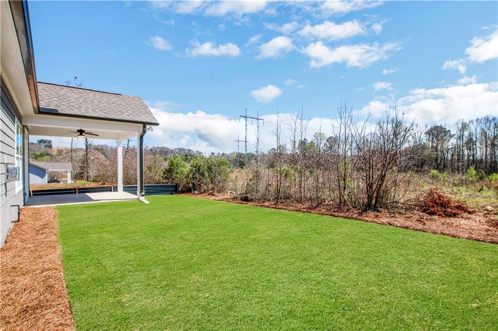 329 Conifer Lane Ball Ground, GA 30107 - Photo 41 of 56