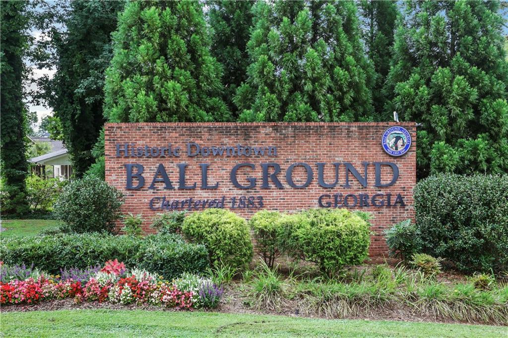 329 Conifer Lane Ball Ground, GA 30107 - Photo 50 of 56