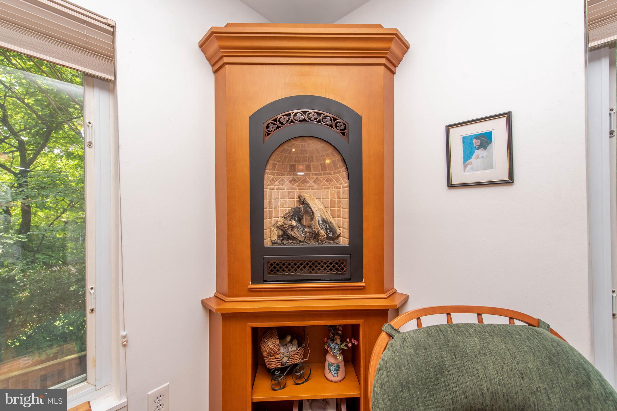 65 Ridge Road, Unit J Greenbelt, MD 20770 - Photo 7 of 36 Gas Fireplace