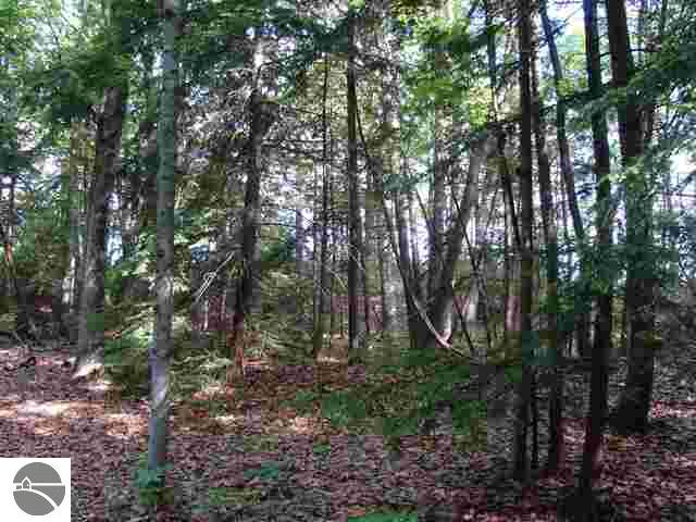 Lot 26 Beach Road Frankfort, MI 49635 - Photo 12 of 15 1736015-11.JPG